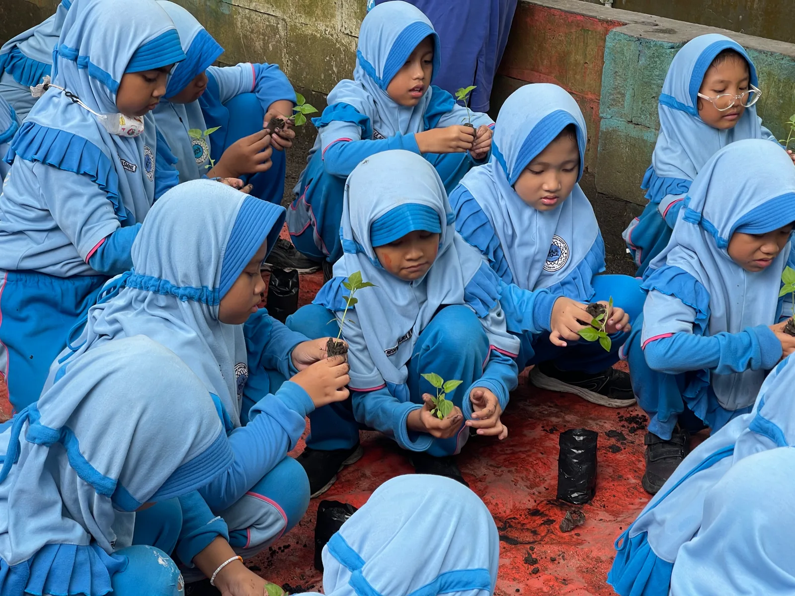 Outdoor Learning — Prambon — dokumentasi 5.